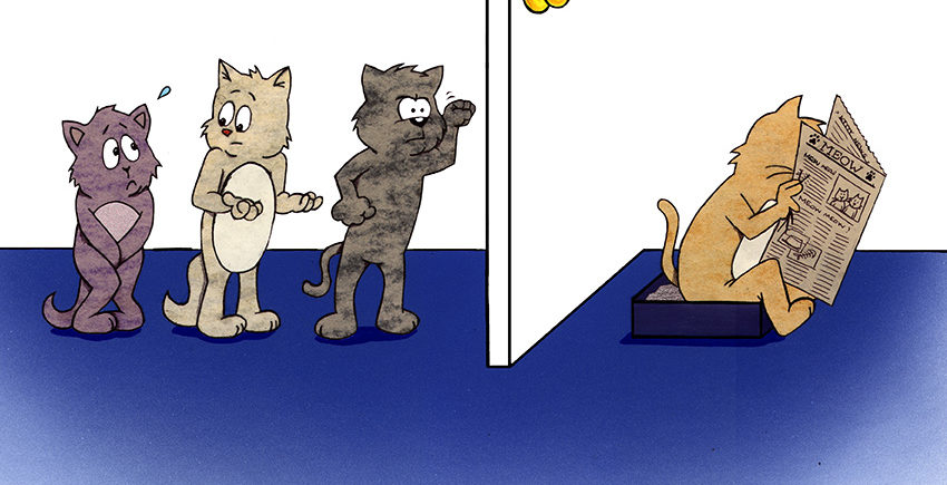 Illustration for Tidy Cats brand cat litter (school project)